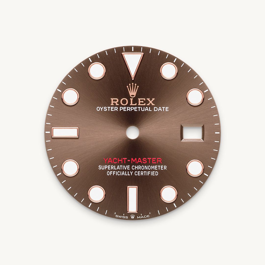 Bidirectional Rotatable Bezel
