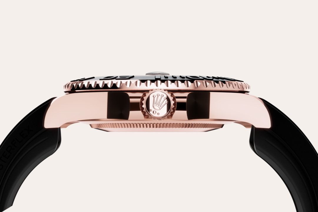 Bidirectional Rotatable Bezel