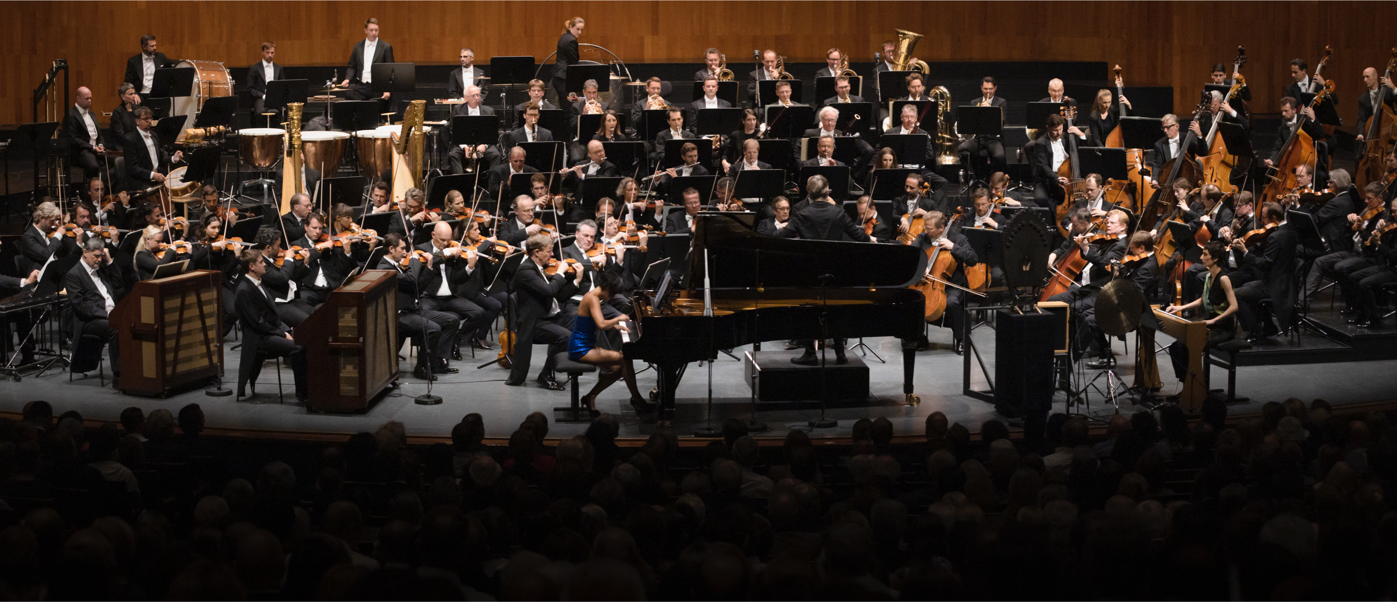 The  Vienna Philharmonic